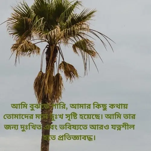 সবার কাছে ক্ষমা চাওয়ার মেসেজ