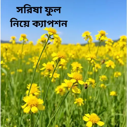 সরিষা ফুল নিয়ে ক্যাপশন