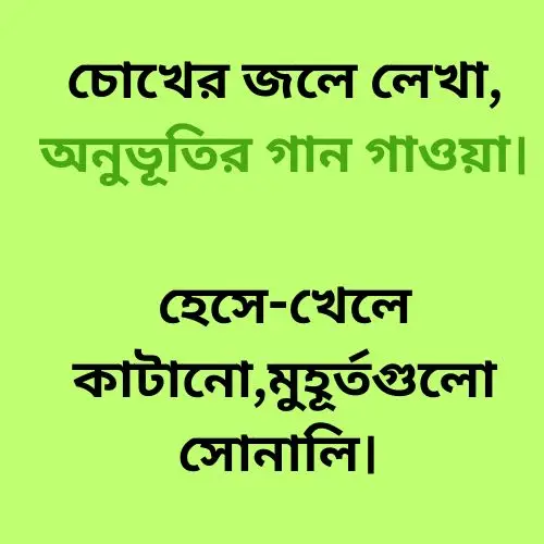 ফেসবুকে ছবির ক্যাপশন কবিতা/Facebook photo caption poetry