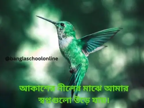 ছবি তোলার ক্যাপশন/Photo caption