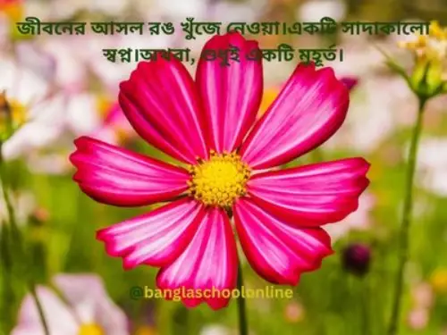 সাদা কালো ছবির ক্যাপশন /Black and white photo caption