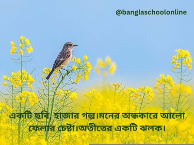 বাংলা কবিতার ক্যাপশন/bangla poem caption
